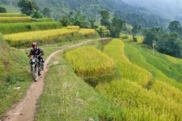 Things to do before you go on that riding tour | Stickman Vinyls