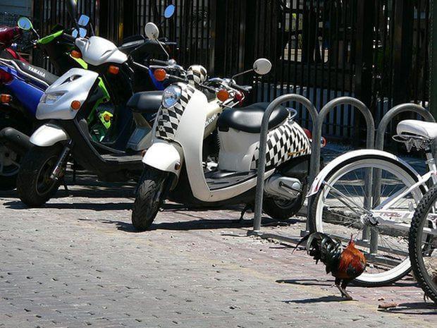 Motorcycles, Mopeds, Scooters: What’s the difference? | Stickman Vinyls