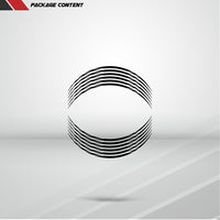 Spiral Outer Rim Liner Stripe - Motorcycle stickers and decals